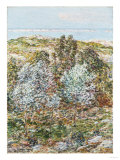 Buy Springtime Vision, 1900 at AllPosters.com