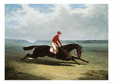 Buy The Baron with Bumpy Up, at Newmarket at AllPosters.com