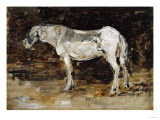 Buy White Horse, Circa 1885-1890 at AllPosters.com