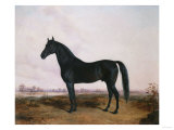Manbrino Patchen 58, in an Extensive Landscape, 1867