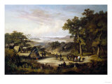 Perry