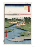 Buy Nekozane at Horikiri', from the Series 'One Hundred Views of Famous Places in Edo' at AllPosters.com