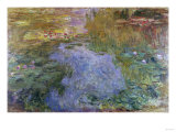 Waterlilies, 1919