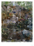 Woodland Stream
