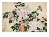 Pink and Red Peonies Blown to the Left in a Breeze and a Butterfly