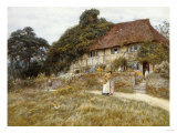 Buy At Stedham Near Midhurst at AllPosters.com
