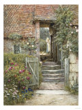 Under the Old Malthouse, Hambledon, Surrey