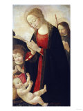 Buy The Holy Family with the Infant St. John the Baptist at AllPosters.com
