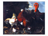 A Hen, Rooster, and Turkey in a Farmyard