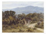 Buy Hindhead from Sandhills, Witley at AllPosters.com