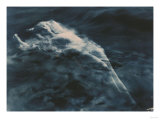 Buy Aphrodite (In Water), 1920-1925 at AllPosters.com