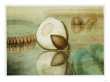 Buy Victoria Regia or the Great Water Lily of America (View of the Form of the Flower...), 1854 at AllPosters.com