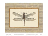 Buy Delicate Dancer I at AllPosters.com