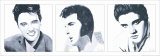 Elvis Triptych