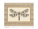 Buy Delicate Dancer III at AllPosters.com