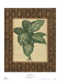 Buy Natural Home I at AllPosters.com