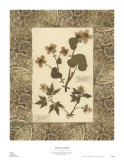 Buy Modern Lodge II at AllPosters.com