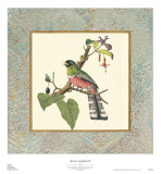 Bel Air Songbirds II