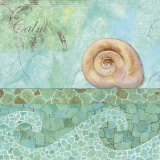 Spa Shells IV