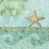 Buy Spa Shells II at AllPosters.com