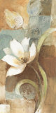 Gentle Tulips II