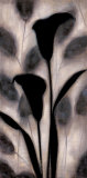 In Harmony II