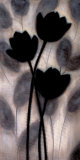 In Harmony I