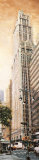 The Woolworth Building