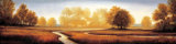 Buy Landscape Panorama III at AllPosters.com