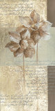 Buy Les Fleur Elegant I at AllPosters.com