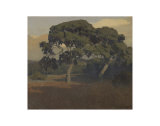 The Oaks