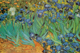 Buy Garden Of Irises at AllPosters.com