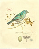 Buy Gilded Songbird I at AllPosters.com