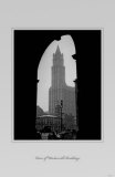 View Of Woolworth Building