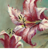 Blooming Lily