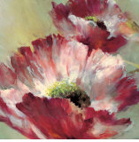 Lush Poppy