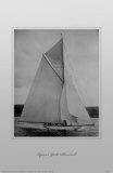 Lipton's Yacht Shamrock