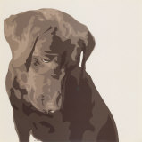 Buy Chocolate Labrador at AllPosters.com