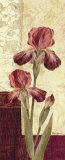 Buy Quattro Sonata III at AllPosters.com