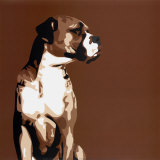 Boxer