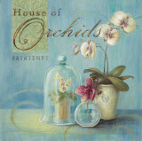 House of Orchids