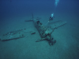 A Diver Explores the Wreckage of a Japanese World War Ii Plane