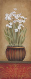 Paperwhites I