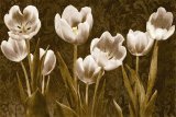 Buy Baroque Tulips at AllPosters.com