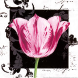 Buy Damask Tulip I at AllPosters.com