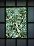 Buy A Tree in a Courtyard Is Framed by a Window at AllPosters.com