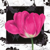 Damask Tulip II