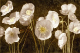 Buy Baroque Poppies at AllPosters.com