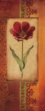 Mediterranean Tulip I Art Print