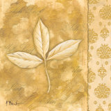 Leaf Oasis IV